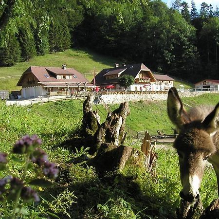 Ferienwohnung Hochsteinalm Traunkirchen Bagian luar foto