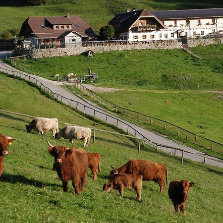 Ferienwohnung Hochsteinalm Traunkirchen Bagian luar foto