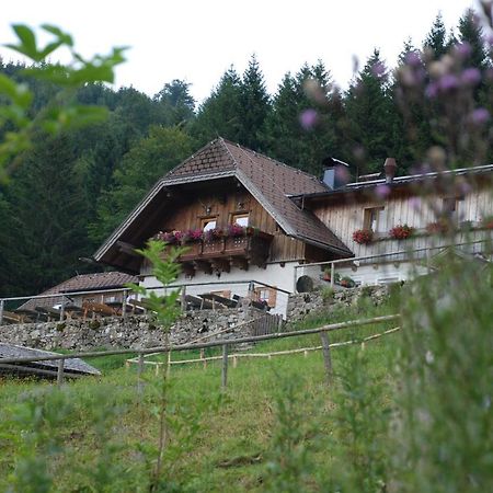Ferienwohnung Hochsteinalm Traunkirchen Bagian luar foto