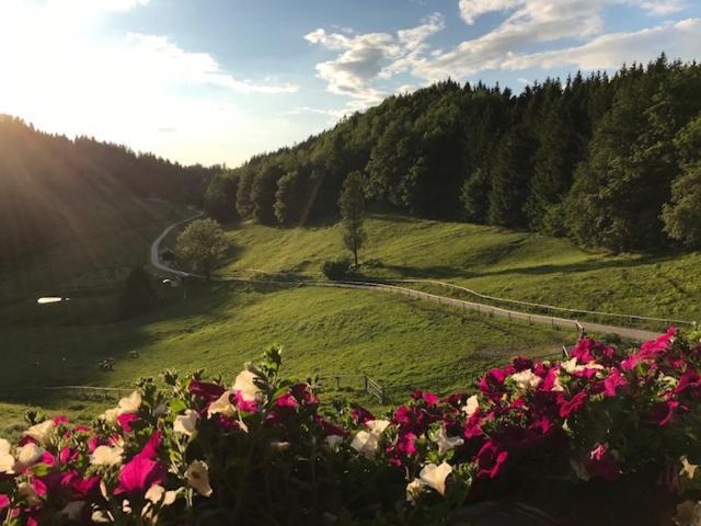 Ferienwohnung Hochsteinalm Traunkirchen Bagian luar foto