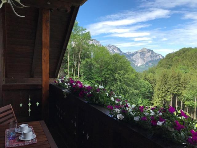 Ferienwohnung Hochsteinalm Traunkirchen Bagian luar foto