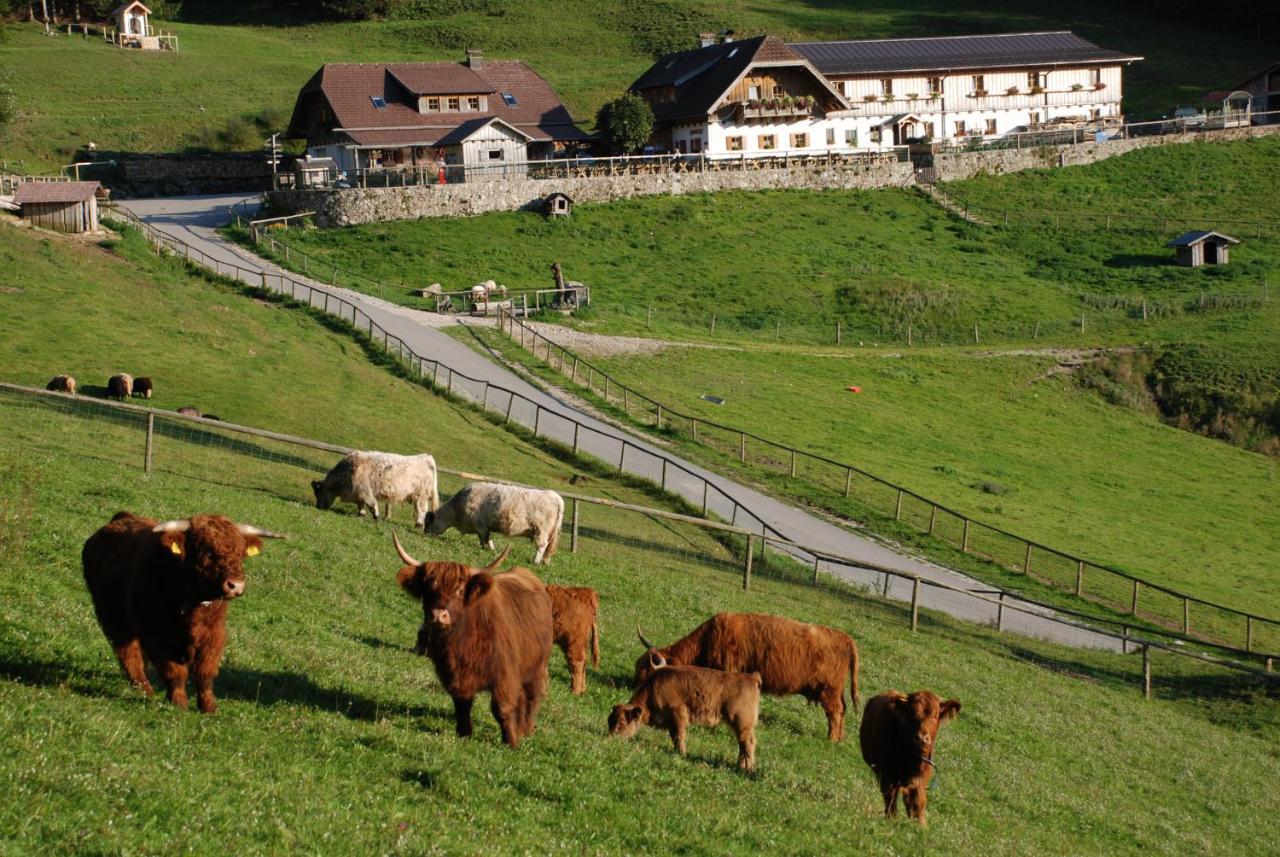 Ferienwohnung Hochsteinalm Traunkirchen Bagian luar foto