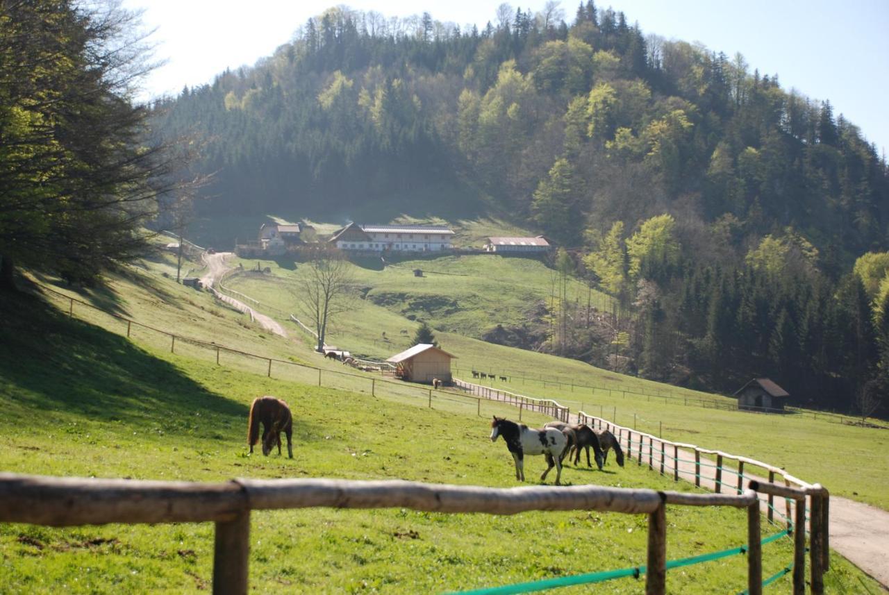 Ferienwohnung Hochsteinalm Traunkirchen Bagian luar foto
